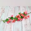 Bouganvillea appesa 3