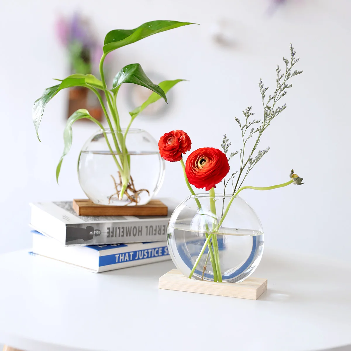 Plant Propagation Station Terarrium Glass air Plant Geometric Terrarium
