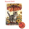 Round Drill colorful