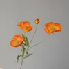 Arancione chiaro