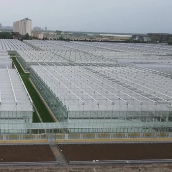 Large Multi-Span Agricultural Greenhouses Plastic Tunnel/Dome Shape Single Layer Thin Film Low Cost Stable Vegetable Cultivation