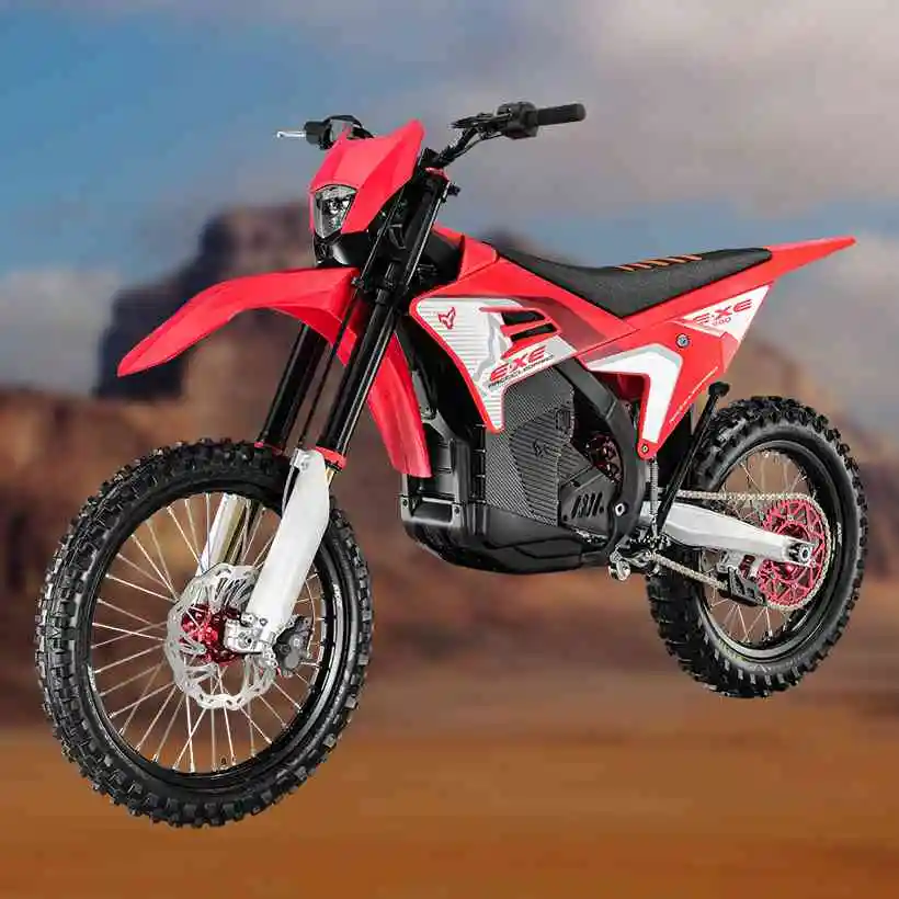 215KM Long Range Electric Bike – Arctic Leopard Cheetah Exe 880