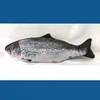Salmón