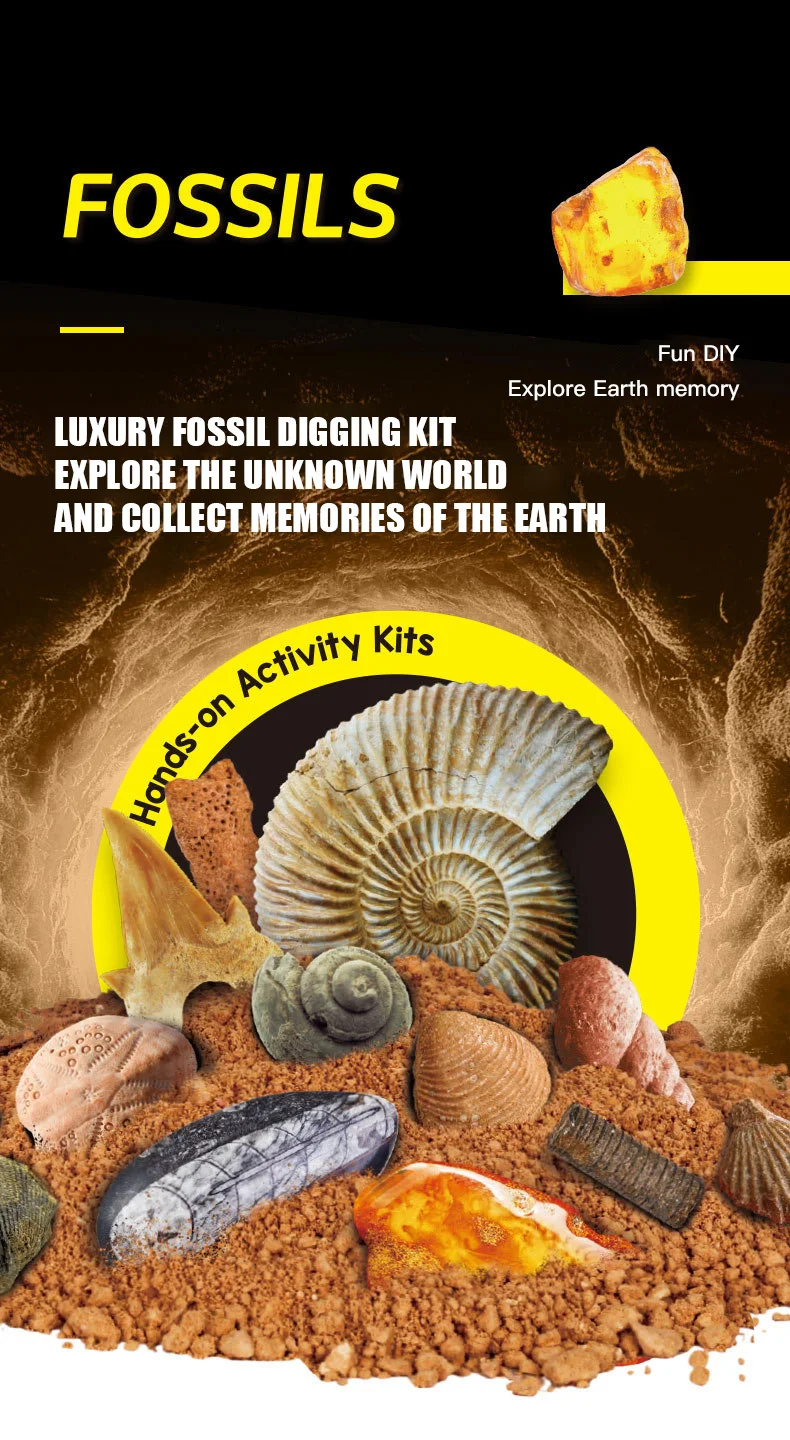 Factory Wholesale Natural Fossil Digging Children's Educational Toys