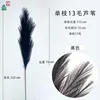 Single 13-haired reed, black
