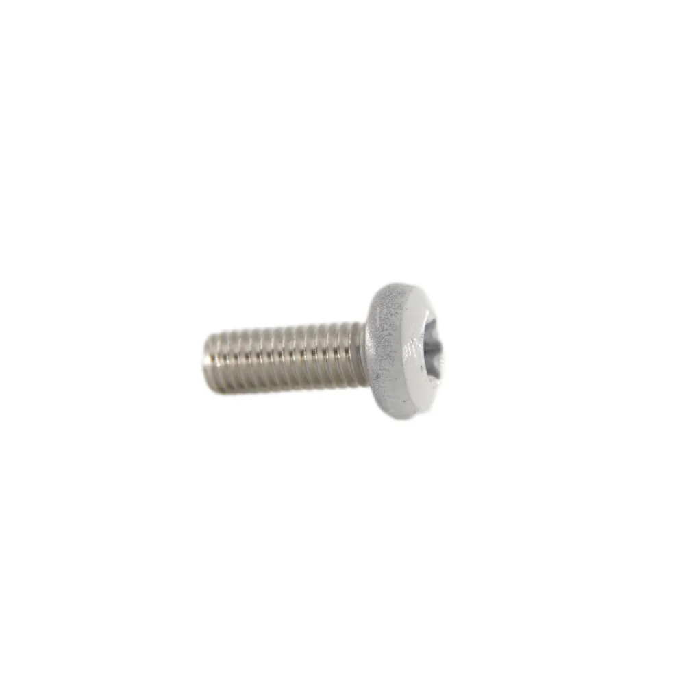 Six-Lobe Flat Head White Painting Screw Stainless Steel Hex Hidden Camera Wall Torx Screw Bolts manufacture