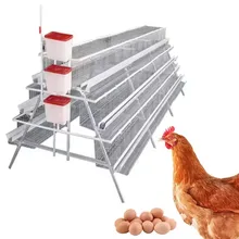 10000 layer chickens farm bird cage for sale automatic h type chicken layer cage