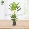 monsteria-4 tronchi- 120 cm