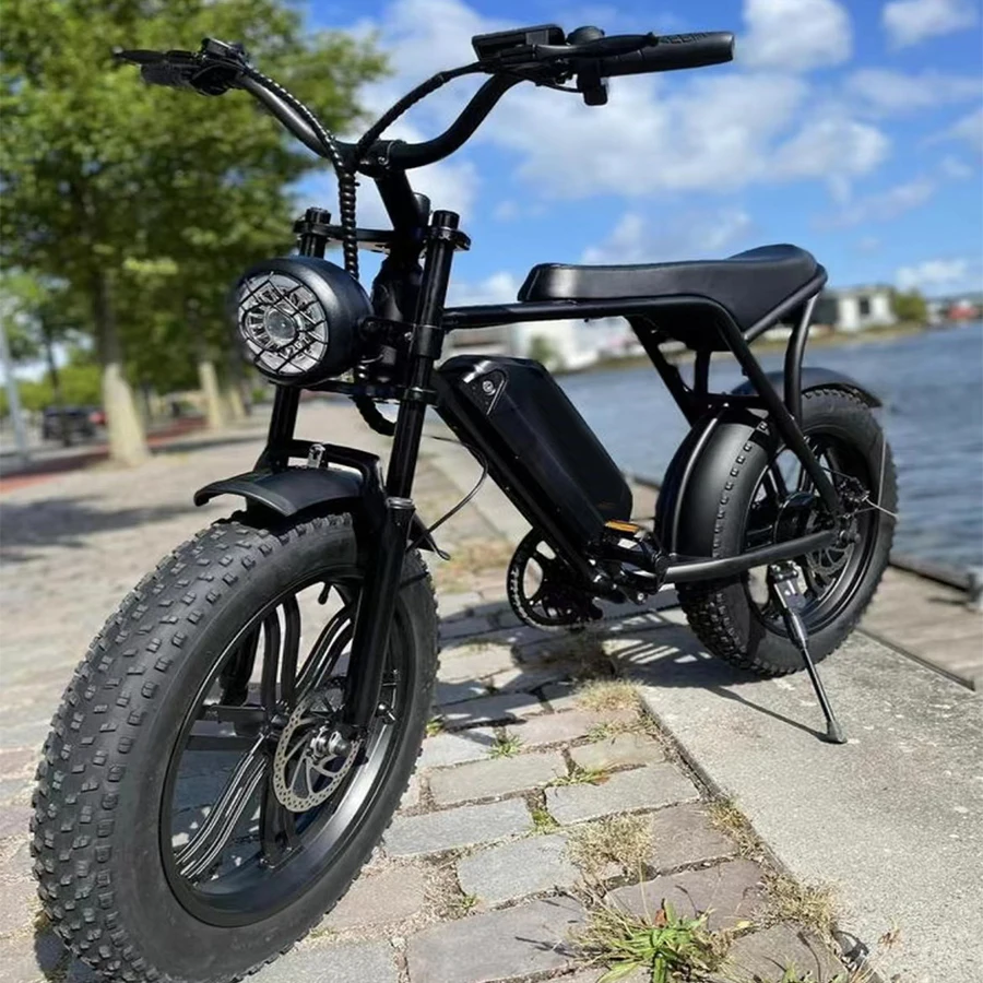 Double Battery Ah Fat E Bike Ouxi Original V Fat Tire E Bike In