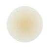 Lechoso