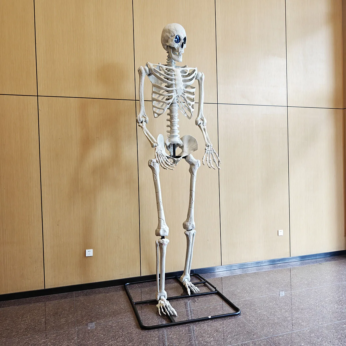 未開封】スケルトン 海賊 ガイコツ 152cm 模型 お化け屋敷 ハロウィン