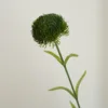 Verde dell'esercito
