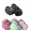 Ugly Chick [Couleur aléatoire, non spécifiée]