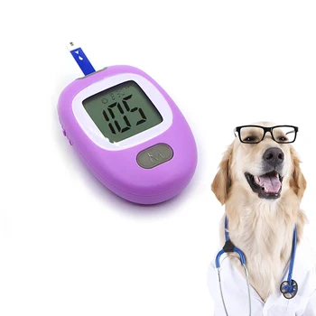 BERRY Continuous Glucose Monitor Veterinary Monitoring Device for Glucose Monitoring