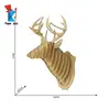 Deer Trophy Head