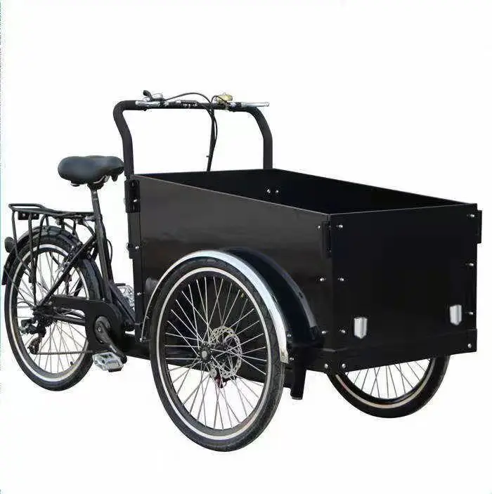 sustainable lithium battery 24inch cargo e-bikes long seat cargo bike electric family cargo bike child seat