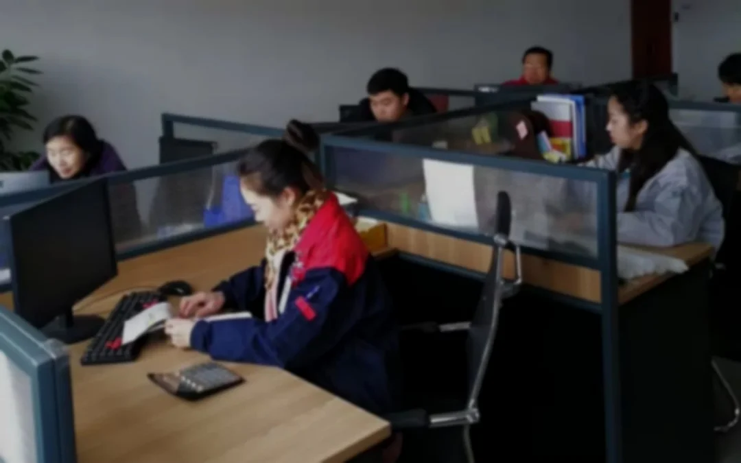 Xinyu Xucai Trading Co., Ltd. 3