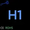 H1