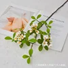Flores de primavera insulares de ramificación larga - blancas