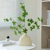 Vase de forme plate de Pieris japonica
