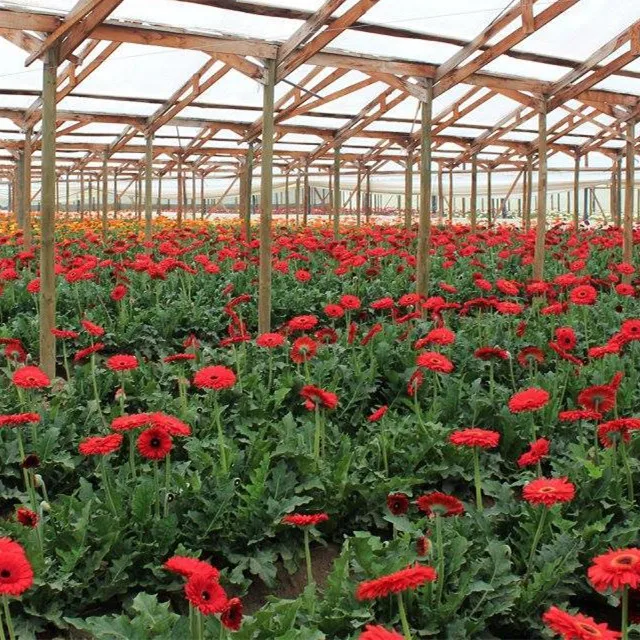 UVA/UVB и светодиодные лампы 301h УФ ИК Led Grow свет бар для комнатные овощи