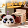 Panda-10cm international general