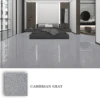 Cambrian Gray (A + B components)