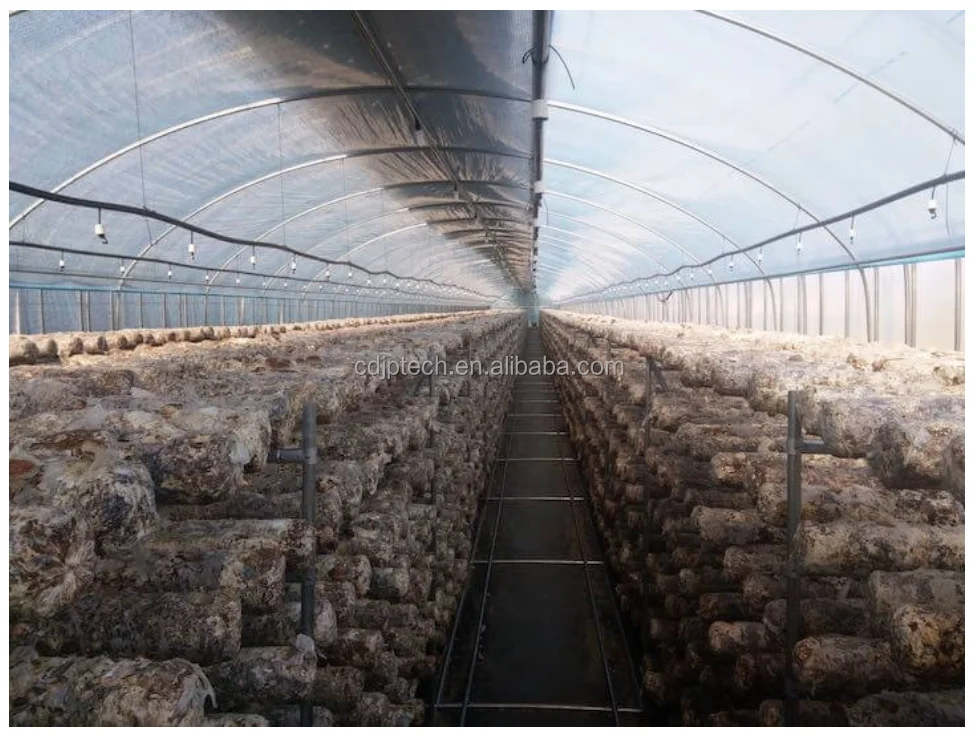 Aluminum Mushroom Growing Shelves Cultivation Shelving Cultivation