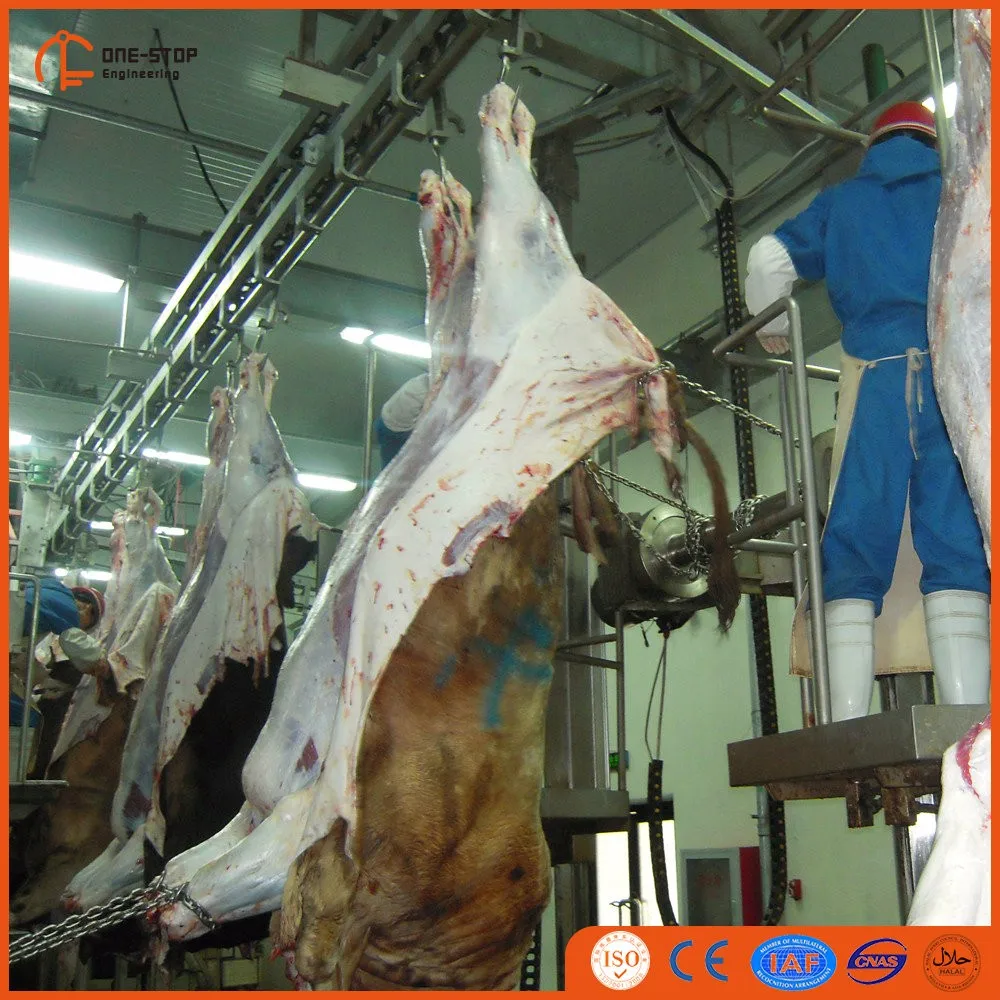 High quality cattle slaughtering equipment for cattle slaughterhouse production line
