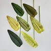 Feuilles populaires - Petites - Vertes