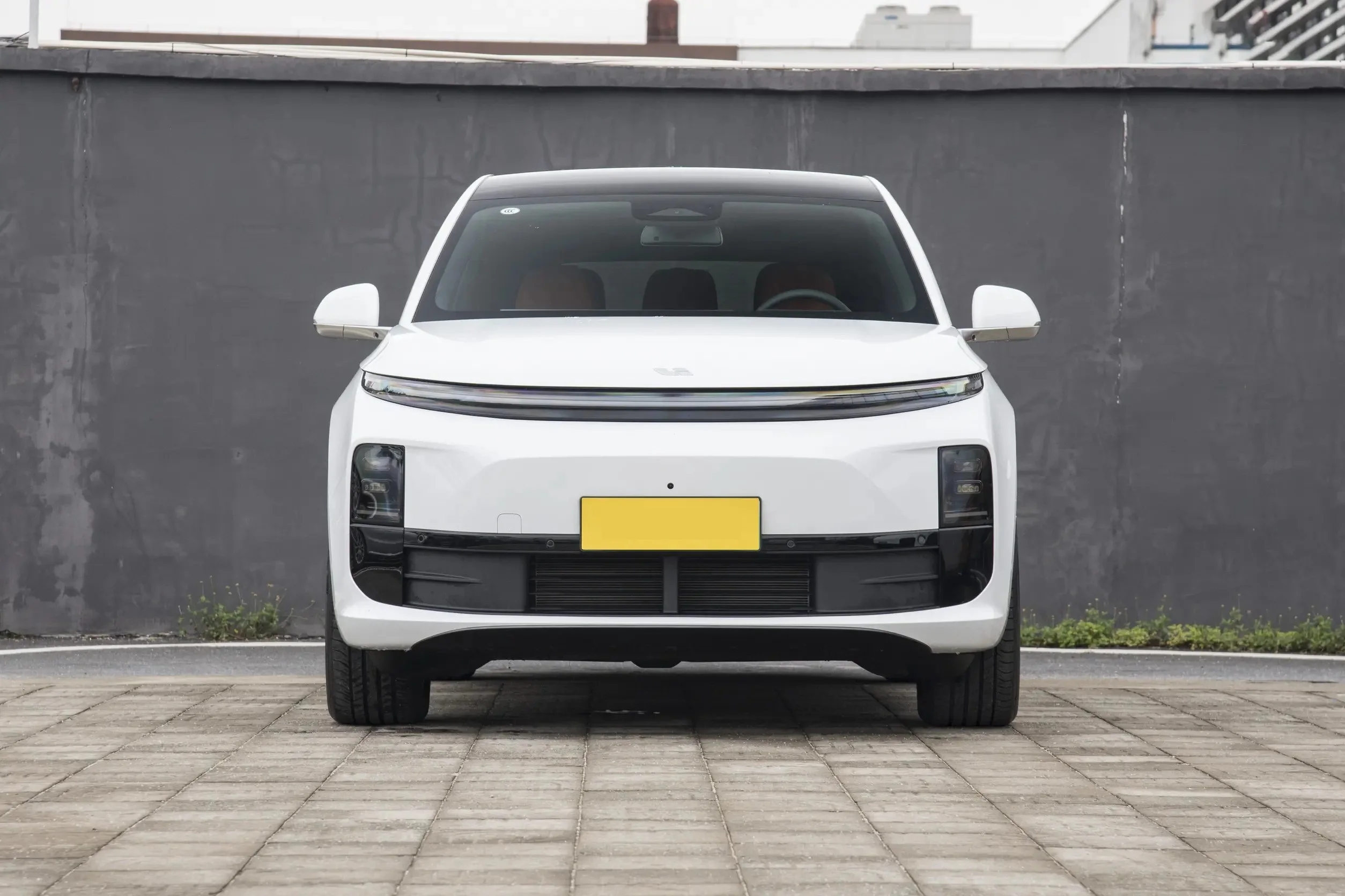 2024 Model LEADING IDEAL L6 Electric & Used Car Pro Model