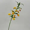 Amarillo