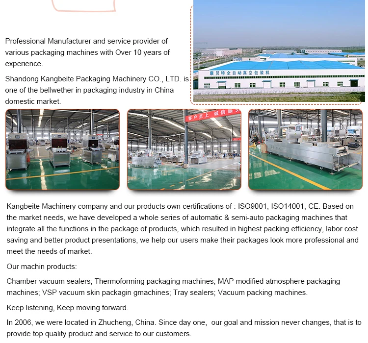 Best Vacuum Packing Sealer Machine/airtight Sealer For Food Buy