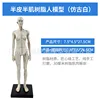 30CM Resin Figure - Realistic White - Female