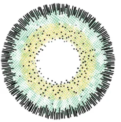 Ежедневные цветные контактные линзы хорошего качества LUMIRERE GREEN #16 из коранового материала 10 шт.