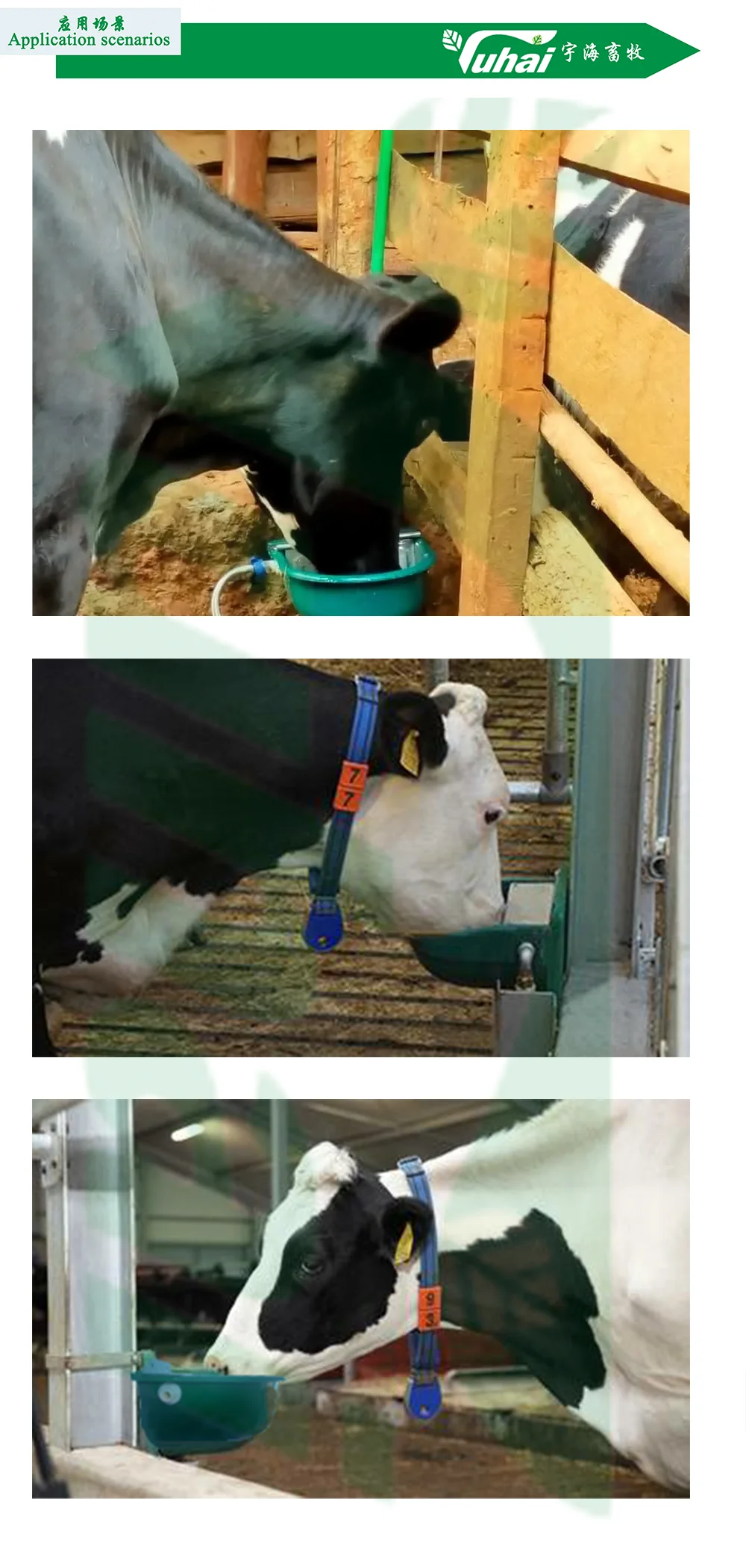 product plastic drinking bowl for animals and calves with a capacity of 09 litreswater dispenser for cows-2