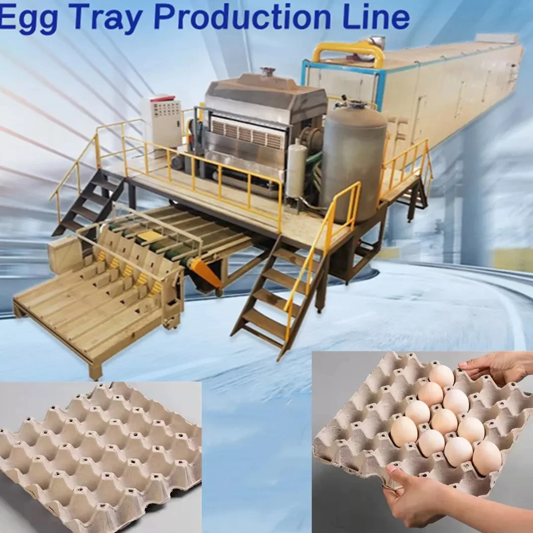 China factory price egg tray production line egg carton making machine with drying equipment