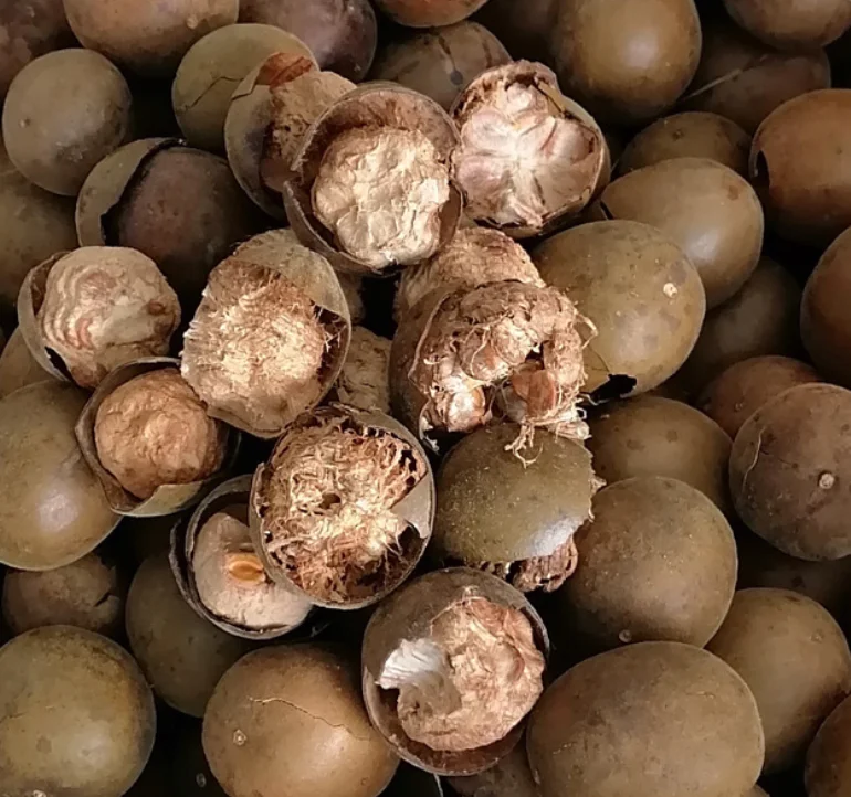 LUOGO HAN GUO / MONK FRUIT 20 Pz - Foto 4