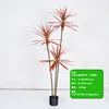 160cm three-stemmed red agave with rainbow ferns
