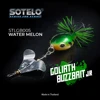 Melon d'eau