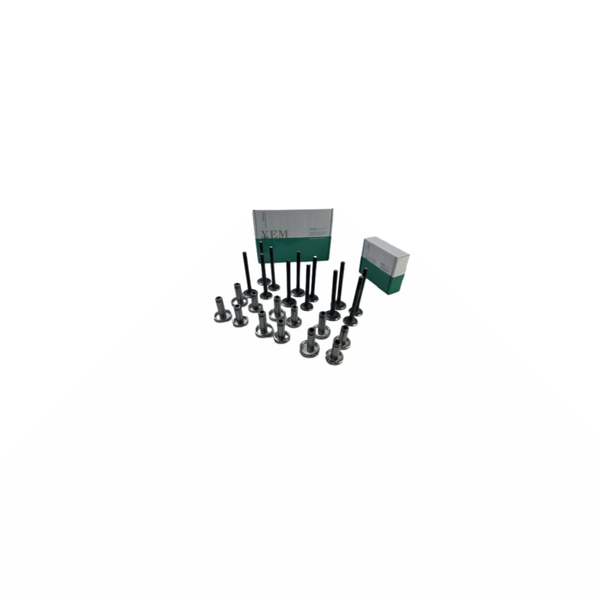 DL08 Valve Guide Seat Set for Doosan / DEVELON Engine Parts