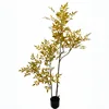 New nantianzhu yellow-150cm