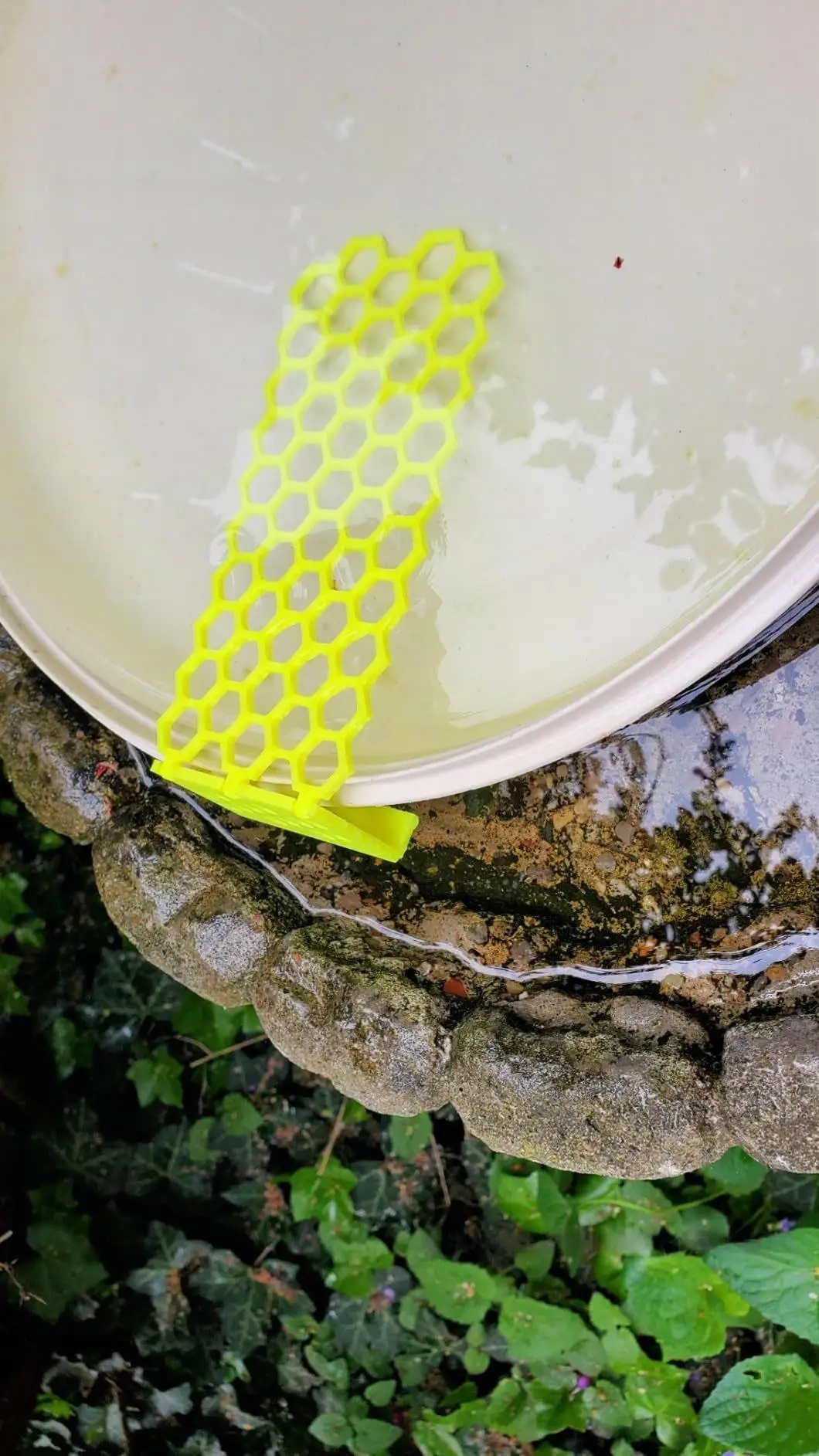 Floating Bee Ladder,Bees, Insects, Drinking Water, Bees, Ladders, Insects, Floating Bees, Ladders