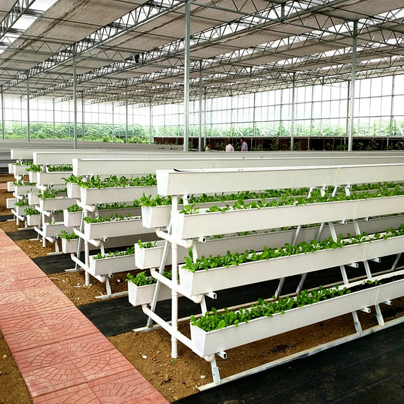 Strawberry Growing Gutter for Sale Vertical Farming