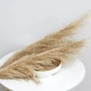 4#40-50cm