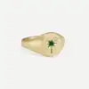 Brown palm tree ring
