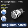 Testa a LED con anello da 19 mm, acciaio inossidabile