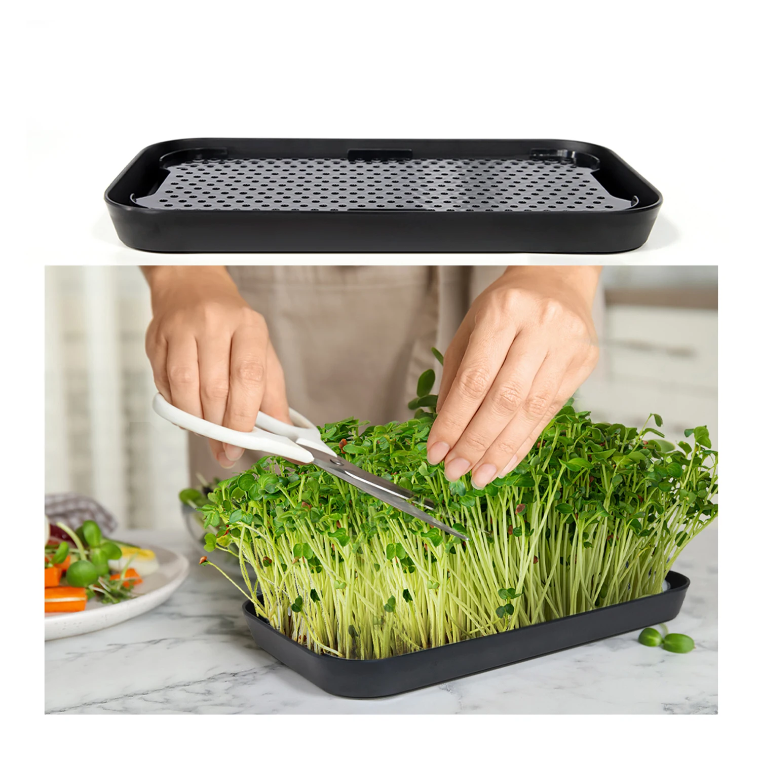 EDKFARM Microgreen Growing Kit Self Watering Iron PC Food-Safe Aluminum  Alloy Hydroponic Indoor Vegetable Seed Planter Garden