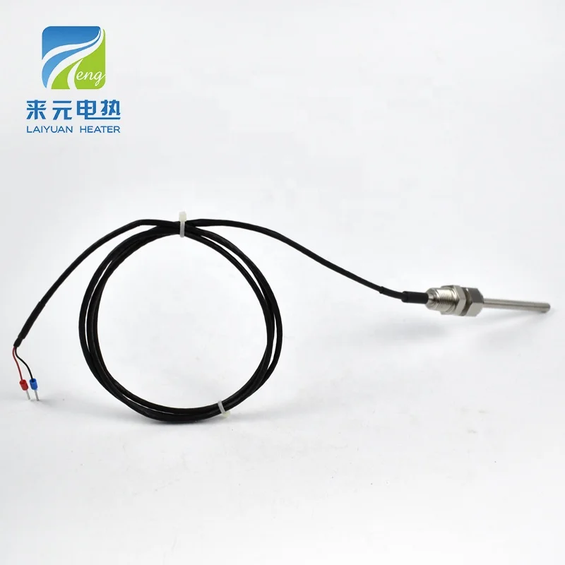 Laiyuan 2 Wire PT100 Type Sheath RTD Probe 5x60mm Waterproof SS316 Bearing Temperature Sensor