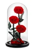 Rouge (15X30 cm) 3 roses